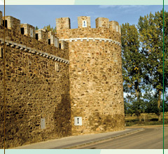 Castillo de Alija del Infantado