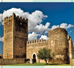 Castillo de Laguna de Negrillos